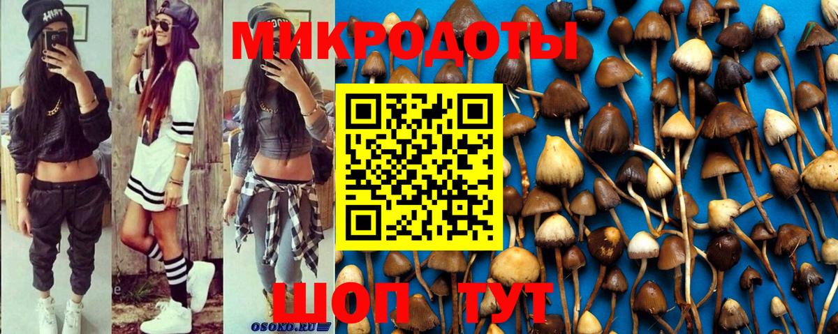 купить наркоту  Псилоцибиновые грибы мухоморы  Вход с VPN  Магадан 